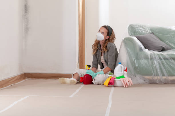 Reliable Mold Inspection And Testing contractor in Parker Ford, PA by Mold Remediation HQ